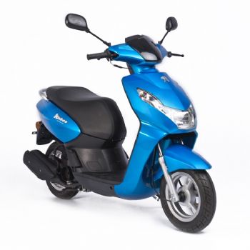 ���� kisbee100